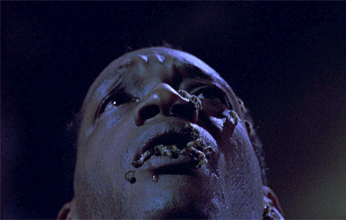 tumblr 02129f8b8ac66919e7cf18c157e533de bf26f75a 540.gif