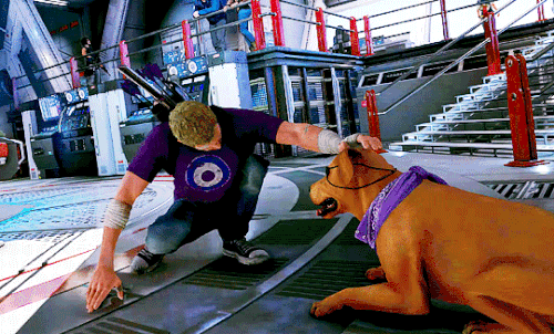 tumblr 8df7664eb8a6d0cd0baa1d3d2a4e795e 0f9529f9 540.gif