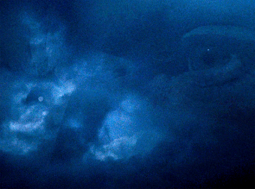 tumblr a6506957fc799c8f23f8aa0df0d78434 40a8352a 540.gif