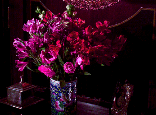 tumblr dbaa40a35b5a0fa684e35fc0faca89eb e2ad4844 540.gif