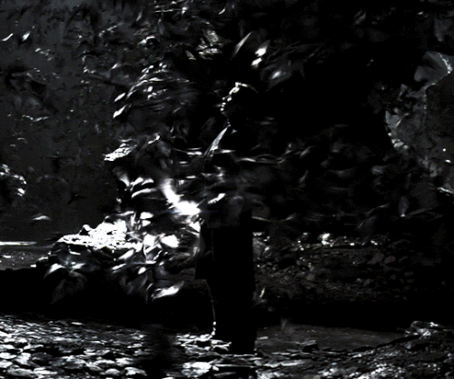 tumblr 105120fb11251d472c3edd8aa04f8d3b b554ae00 540.gif
