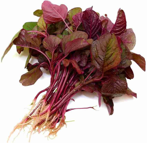 1000 red spinach lal bhaji lal s.jpg