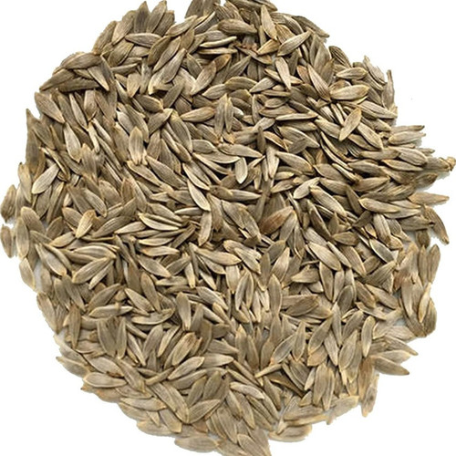 500 lettuce seeds nutritious str.jpg