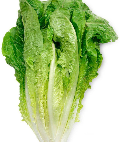 80 lt62 imported lettuce importe.jpg