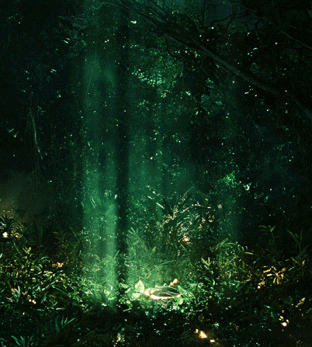 tumblr 130fbf388f1e4869af932536429ce4d9 9b539b47 540.gif