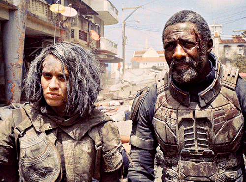 tumblr 510529ead95777e17dd5ee9f1dca6031 fa7ce8df 540.gif