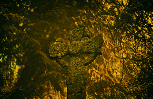 tumblr e0025b754a633623f73f8563d393fbee 534a2292 540.gif