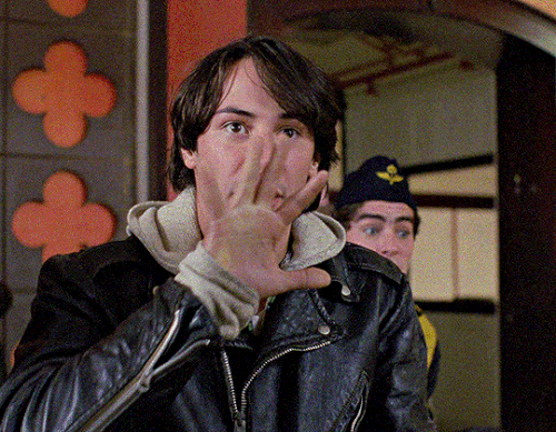 tumblr d9bc75c1551a943b05e6d19a25c10dc3 a2e2cd25 540.gif