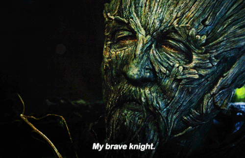 tumblr 775c400f897bb561fed2ab43ab6de23f fa8f6f98 540.gif