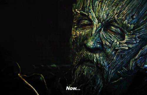 tumblr 6116bb6b32f2b646d90b6f7b35e3c3f6 21f13e7d 540.gif
