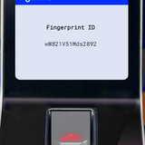 stefan ivamov fingerprint.png