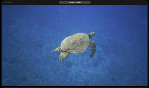 Screenshot 2025 03 21 at 11.54.00 pm.png