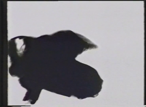 vlcsnap 2025 03 22 15h02m14s647.png