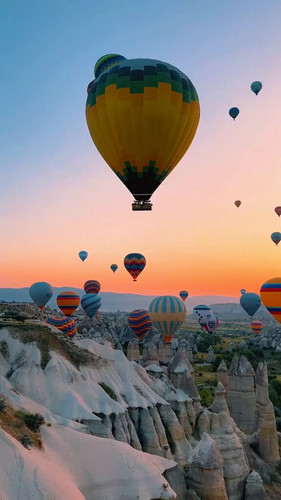 dnsbeAxn12xgPG y.jpg