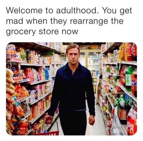 485597280 3549319048707508 1028274876392630850 n.jpg