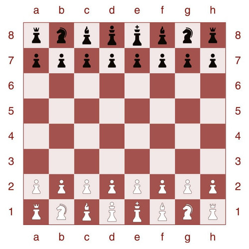 how to set up a chessboard 7.jpg