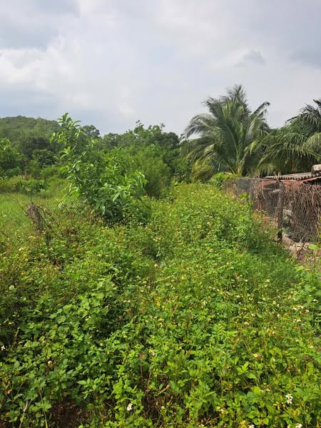 485368101 2239371056457642 8373484899709746926 n.jpg