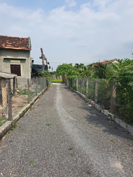 485199210 2239371016457646 5847327226426741188 n.jpg