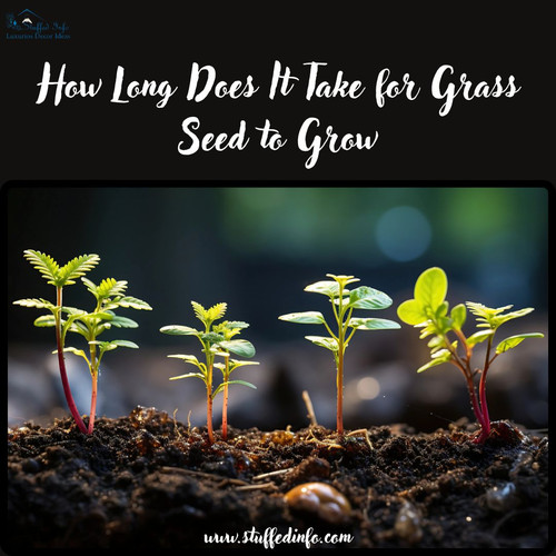 How Long Does It Take for Grass Seed to Grow.jpg