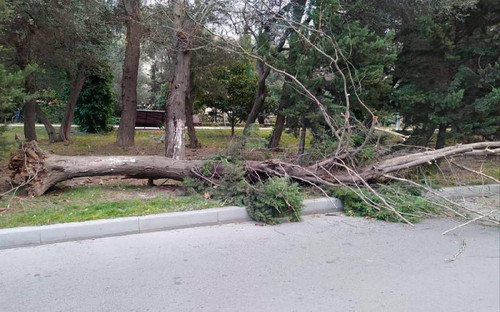 DO37wb tzvtfJAit0AmbkdulPplfRg nmndq0ORxBSUAXRA7 KzDVi1UMU5pGforNYWOwdXpLYihwUfa5PhPyPp9qJci2PsneBcA.jpg