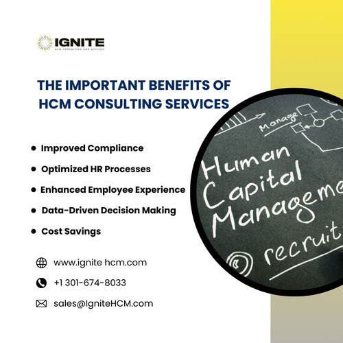 The Important Benefits Of HCM Consulting Services.jpg