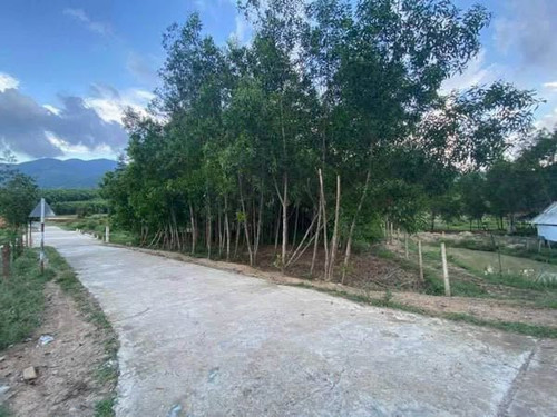 485030583 627132863630964 1154542975769900580 n.jpg