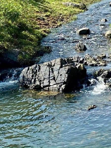 485035072 627132860297631 6953118245342795231 n.jpg