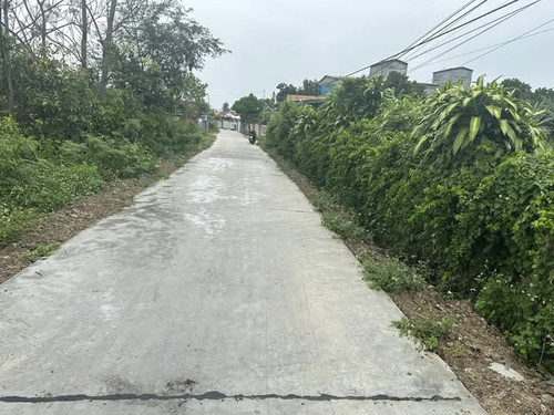 485704122 1341699200406473 2291430345729320984 n.jpg