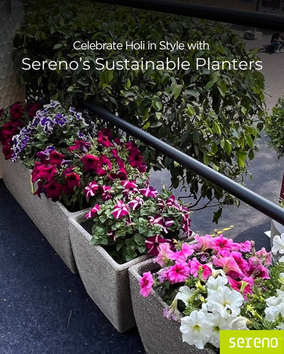 Step Up Your Space with Sereno’s Designer Flower Pots.jpg