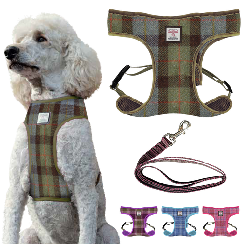 Macleod Tartan primary.png