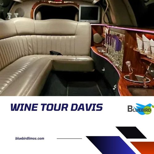 Wine Tour Davis.jpg