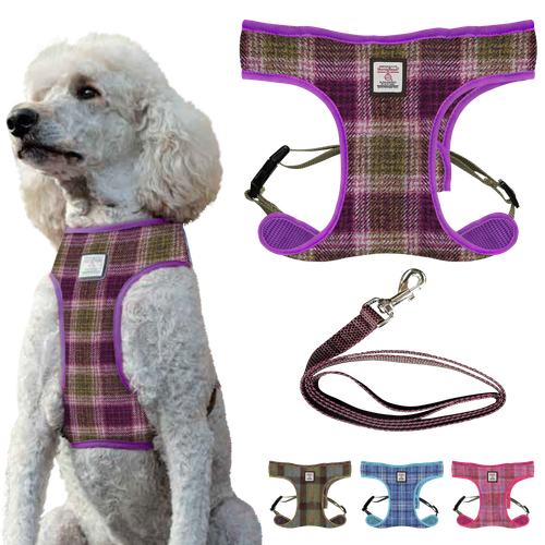 Heather Check primary.png