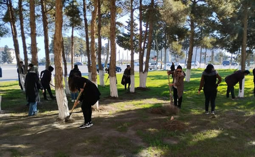 485729749 1087888636707623 3863055400891948714 n.jpg?stp=dst jpg s600x600 tt6& nc cat=106&ccb=1 7& n.jpg