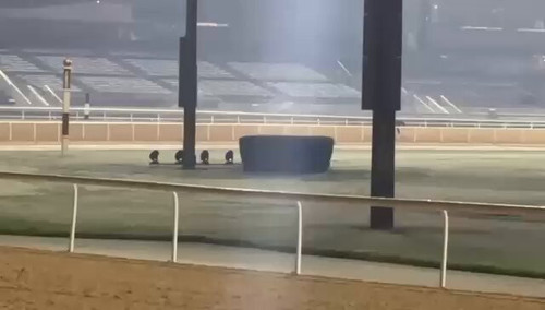 dGZIRhm uB4Hk2 D.jpg