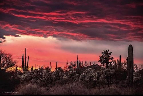 tumblr a497a7bbffedf63ef8d78d4c6fbe0eb2 ab92514f 1280.jpg