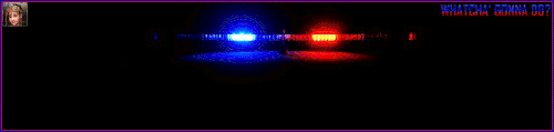 CopLite Banner.gif