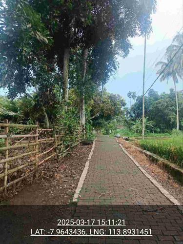 images from s3 2025 03 21T172507.440.jpg