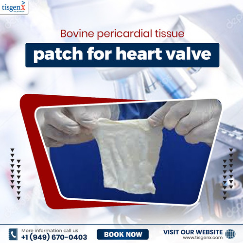 Bovine Pericardial Tissue Patch for heart valve.jpg