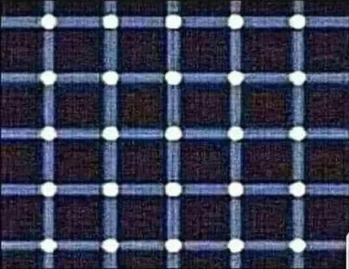 FB IMG 1742589186431.jpg