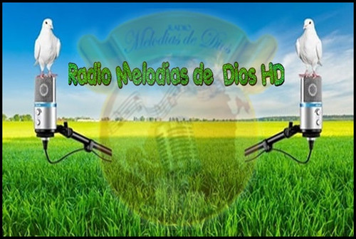 257830594 1495493217476166 7818525498206706725 n.jpg