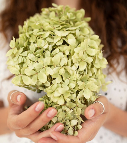 front view woman holding dried flowers 23 2149513707.jpg