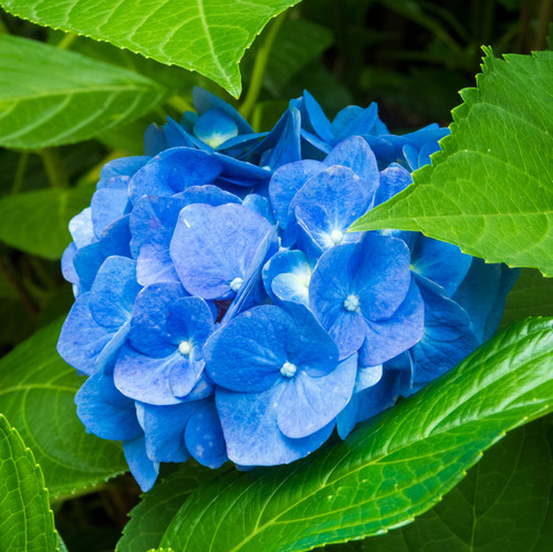 yamasa n 74iromKAYSg unsplash.jpg