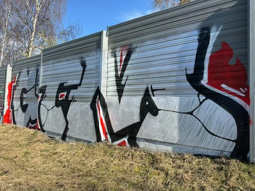 IMG 20250321 144653 051.jpg