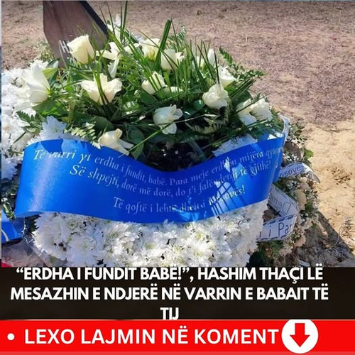 486099847 1060203996144175 1531942292801987032 n.jpg?stp=dst jpg p526x296 tt6& nc cat=101&ccb=1 7& n.jpg