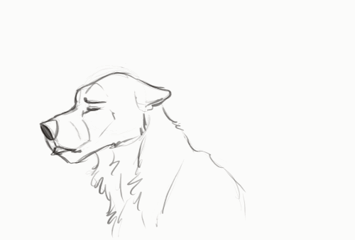 IMG 4313.gif