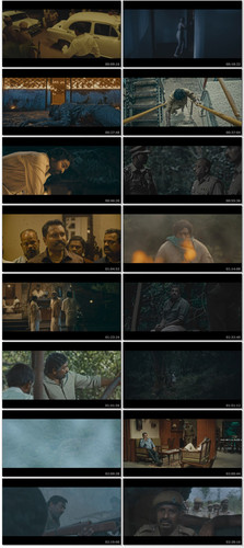 IMG 20250322 160803.jpg