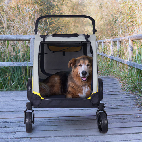Dog Stroller (2).jpg