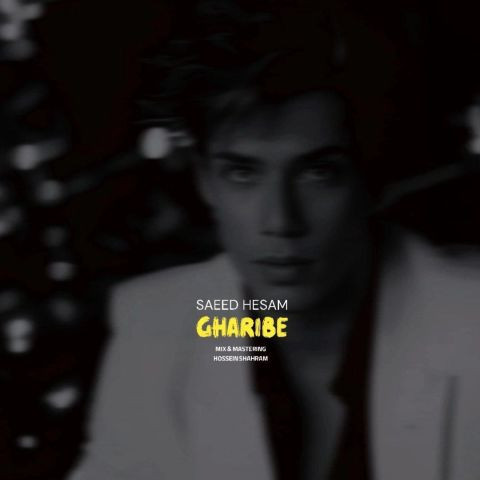 دانلود آهنگ سعید حسام به نام غریبی