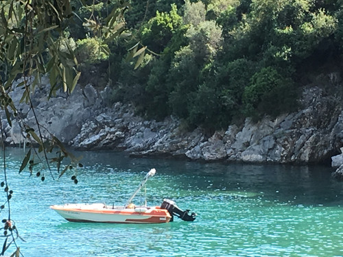 2CE4530F 5F06 4181 A2C0 9A77CB8B0845.jpg