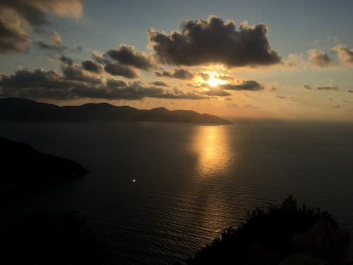 E1DF7787 F6C8 4CE3 B67A 61FE61ABEFF0.jpg